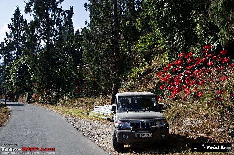 Another escape to Majestic Sikkim - Richenpong, Pelling, Okhrey & Varsey-tkd_1326.jpg
