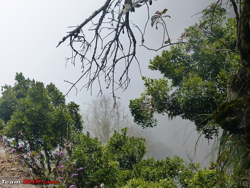 Pun-toured: The beautiful Western Ghats revisited-p1050730.jpg