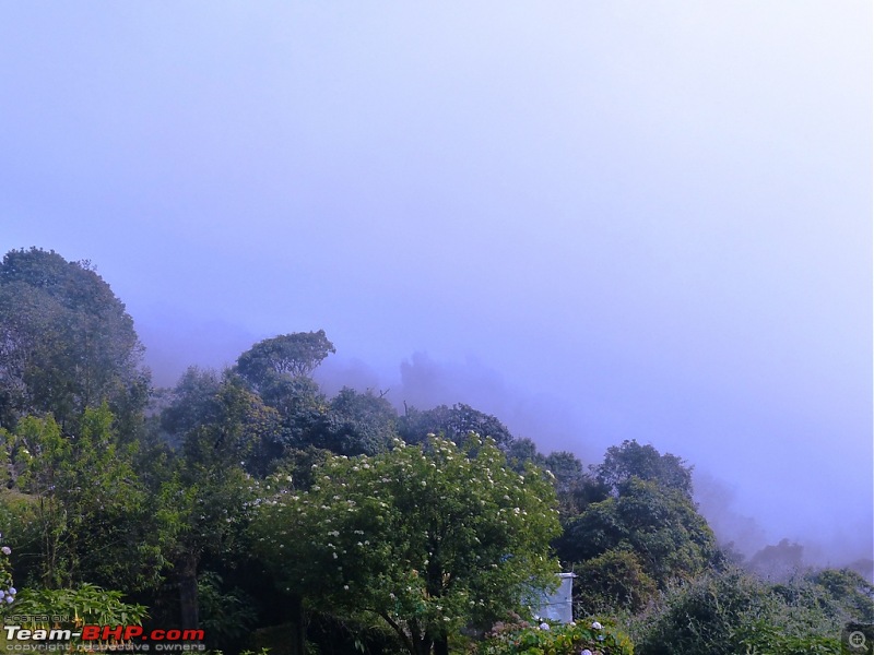 Pun-toured: The beautiful Western Ghats revisited-p1050775.jpg