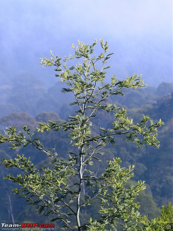 Pun-toured: The beautiful Western Ghats revisited-p1050846.jpg