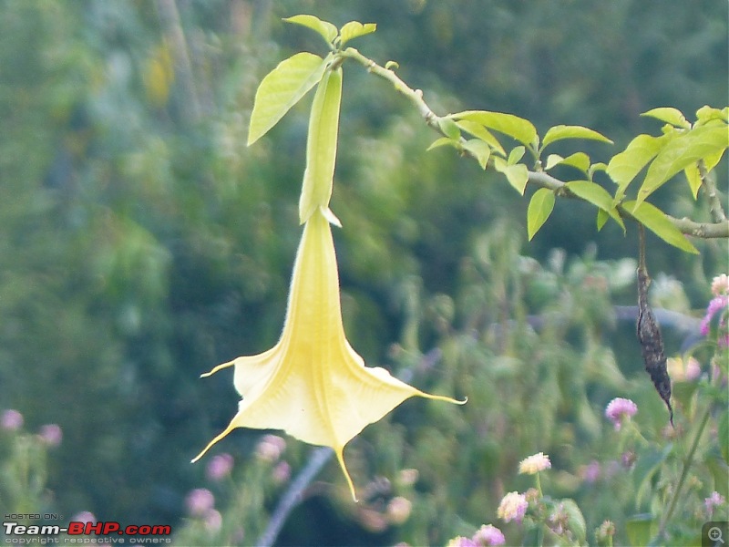 Pun-toured: The beautiful Western Ghats revisited-p1050884.jpg