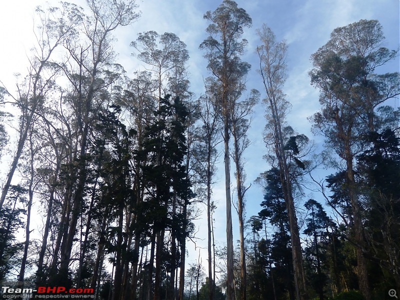 Pun-toured: The beautiful Western Ghats revisited-p1050936.jpg