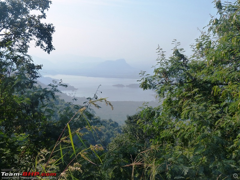 Pun-toured: The beautiful Western Ghats revisited-p1060231.jpg