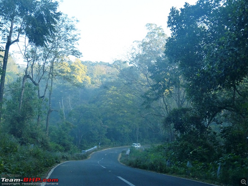 Pun-toured: The beautiful Western Ghats revisited-p1060352.jpg