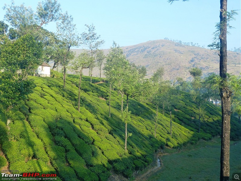 Pun-toured: The beautiful Western Ghats revisited-p1060358.jpg