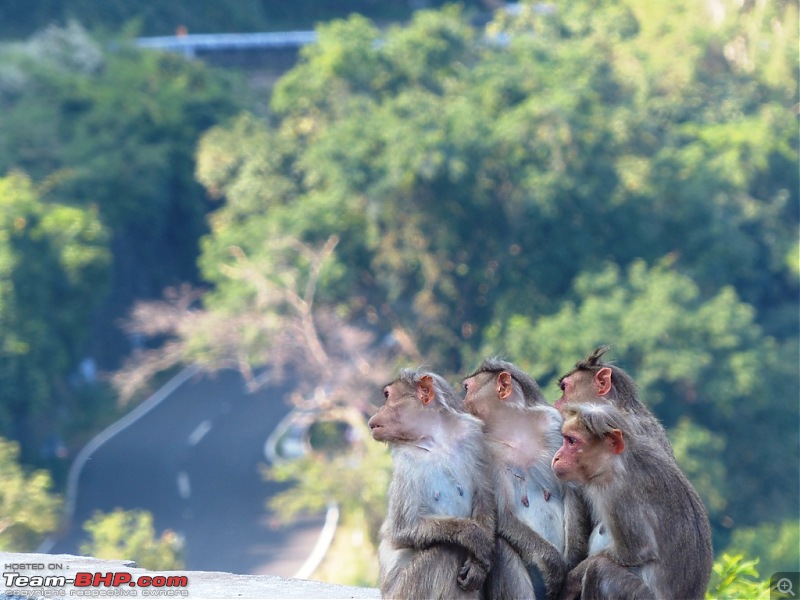 Pun-toured: The beautiful Western Ghats revisited-p1060466.jpg