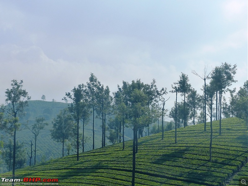 Pun-toured: The beautiful Western Ghats revisited-p1060636.jpg