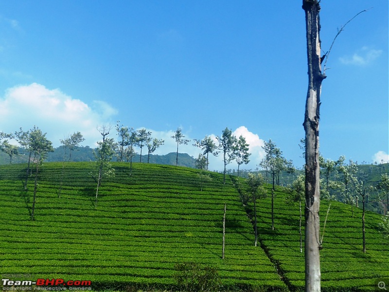 Pun-toured: The beautiful Western Ghats revisited-p1060639.jpg