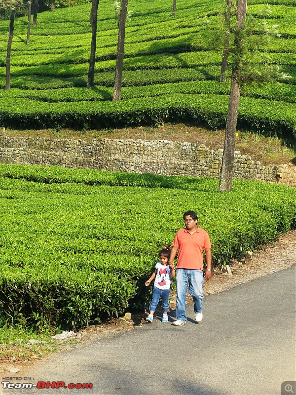 Pun-toured: The beautiful Western Ghats revisited-p1060717.jpg