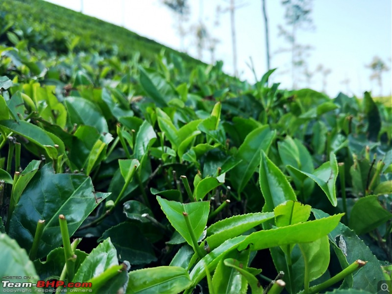 Pun-toured: The beautiful Western Ghats revisited-img_20160115_162432481_hdr.jpg