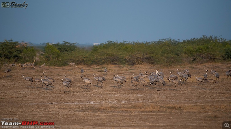 Ride to the Jewels of Western India (Gujarat and Rajasthan) : A voyage of 7500 kms across 9 states-dsc_7468.jpg