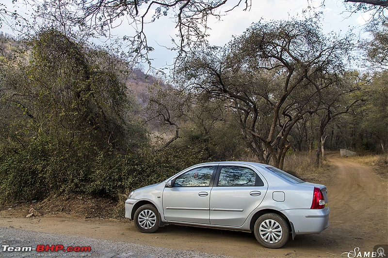 History, Sand, Hills & Forests - Our Rajasthan chapter from Kolkata in a Toyota Etios-img_3559.jpg