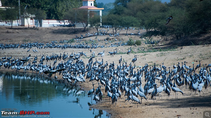 Ride to the Jewels of Western India (Gujarat and Rajasthan) : A voyage of 7500 kms across 9 states-dsc_7719.jpg