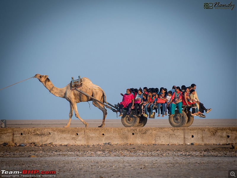 Ride to the Jewels of Western India (Gujarat and Rajasthan) : A voyage of 7500 kms across 9 states-dsc_7577.jpg