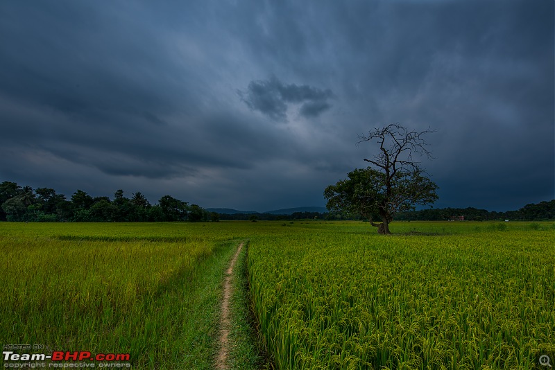 Photologue: Bird watching at Palakkad-_dsc9915edit22.jpg