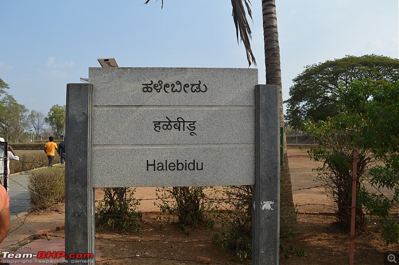 Beating the Summer Heat: Trip to Chikmagalur and Hornadu-dsc_0764.jpg