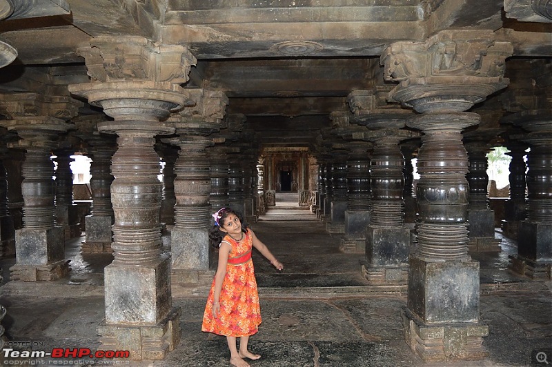 Beating the Summer Heat: Trip to Chikmagalur and Hornadu-dsc_0776.jpg