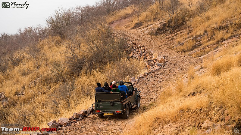 Ride to the Jewels of Western India (Gujarat and Rajasthan) : A voyage of 7500 kms across 9 states-dsc_8682.jpg