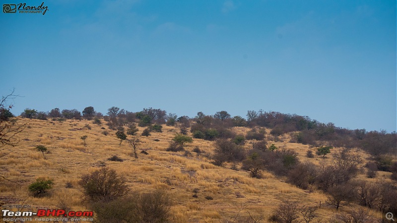 Ride to the Jewels of Western India (Gujarat and Rajasthan) : A voyage of 7500 kms across 9 states-dsc_8696.jpg