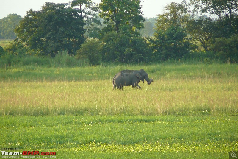 Exploring a part of my own State on wheels-p1030235.jpg