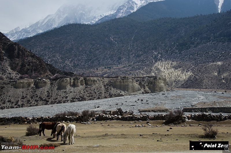 Nepal: Driving expedition through the trekking trail-tkd_2471.jpg