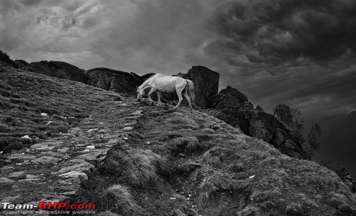 Fullmoon in Kumaon: Snapshots from a 7000km cross-country roadtrip-dsc_2737.jpg