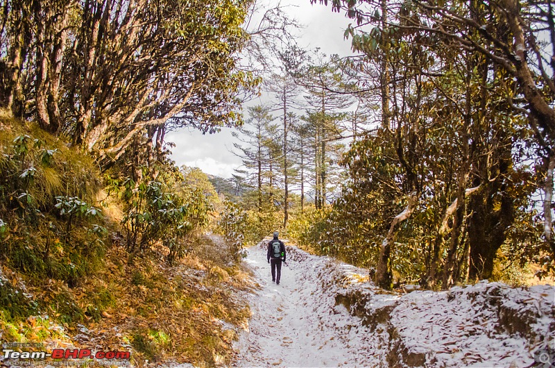 Breakin' The Ice: Phalut Winter Trek, Darjeeling-_dsc0785.jpg