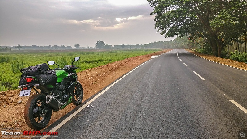 Chennai - Goa on a Kawasaki Z250-malnad-roads.jpg
