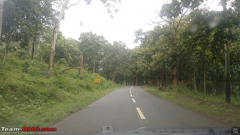 Jungle Retreat Wayanad and Nagarahole-img_20170625_131721141.jpg