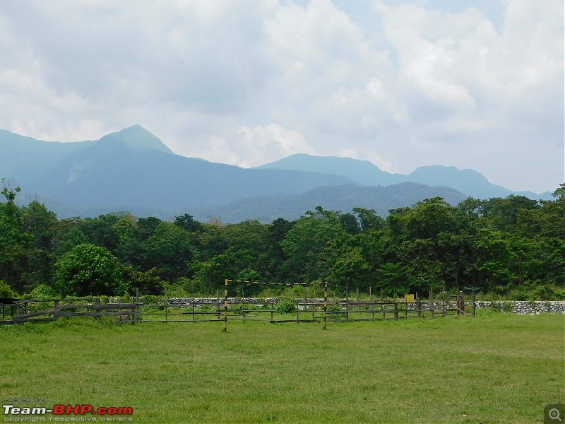 Tuskers of Chilapata : A thrilling drive to Northern Bengal & Bhutan-dscn0458field.jpg