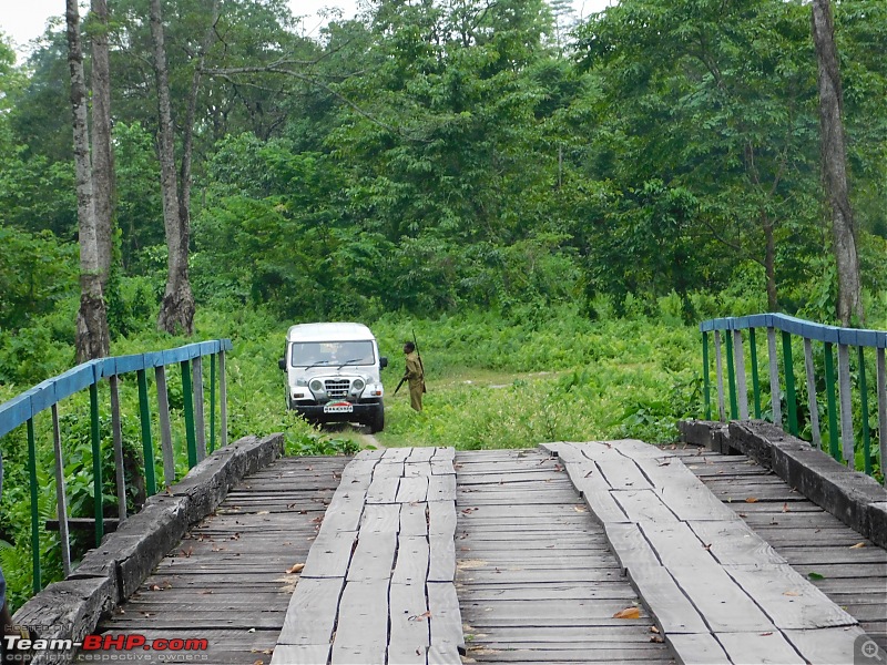 Tuskers of Chilapata : A thrilling drive to Northern Bengal & Bhutan-dscn0972guard.jpg