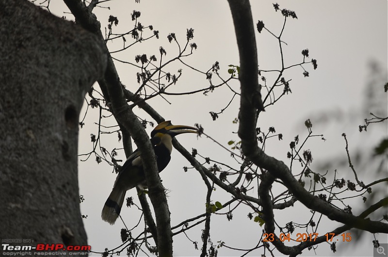 NorthEast Reloaded: Meghalaya -> Assam -> Arunachal-61_dsc0465.jpg