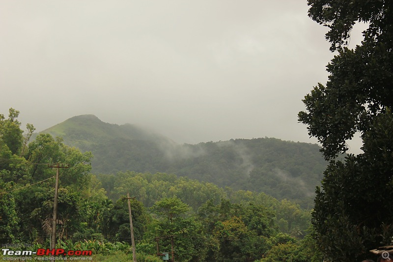 Winsome Peak - Kodachadri-43.jpg