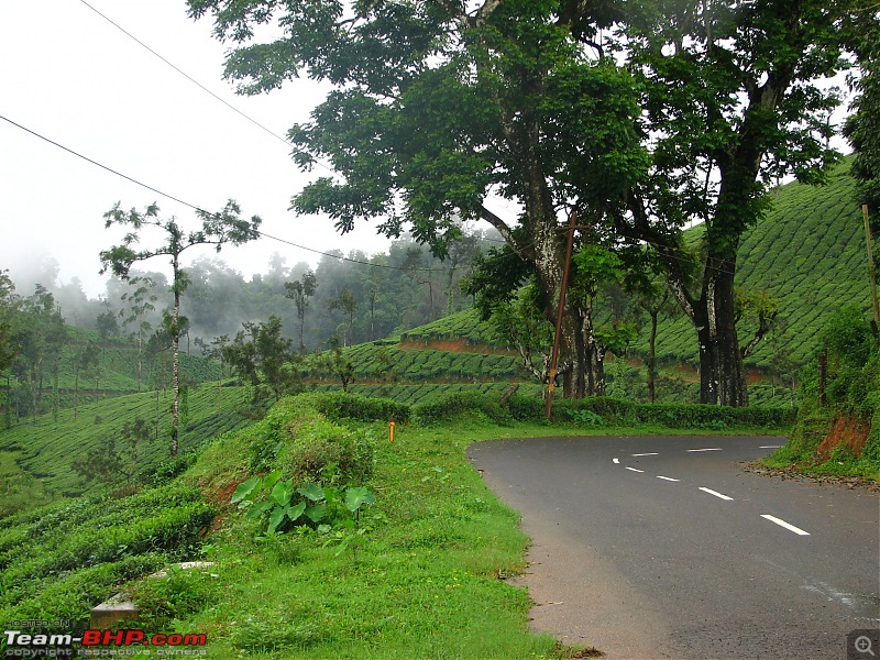 Roadtrip through South India : Hyd - Blr - Wyn - Mys - Blr - Hyd-img_4609.jpg