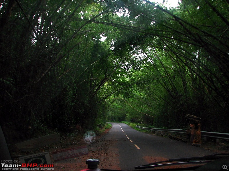 Roadtrip through South India : Hyd - Blr - Wyn - Mys - Blr - Hyd-img_4668.jpg