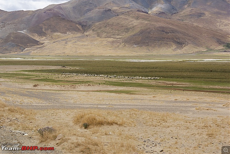 Traversing The Tibet Plateau To Mount Kailash-dsc01146.jpg