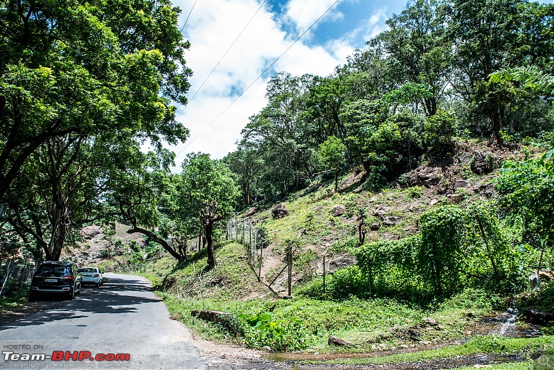 To Munnar in a Ford Endeavour!-zcx_1373.jpg