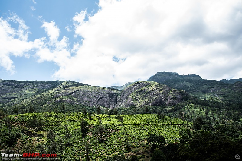 To Munnar in a Ford Endeavour!-zcx_1381.jpg