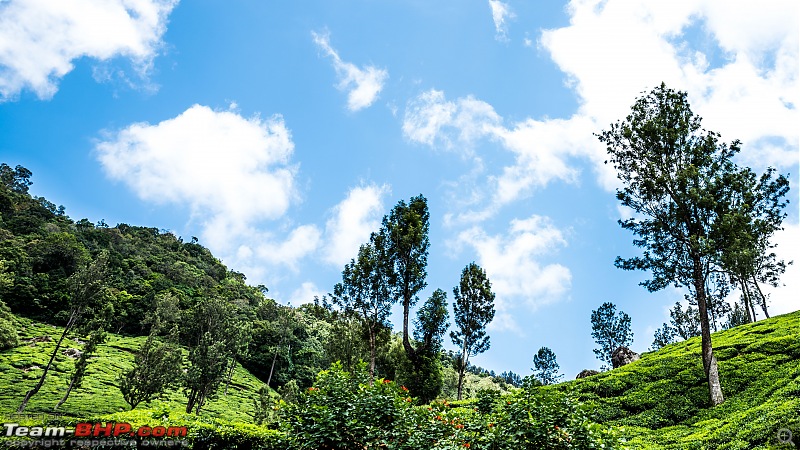 To Munnar in a Ford Endeavour!-zcx_1713.jpg