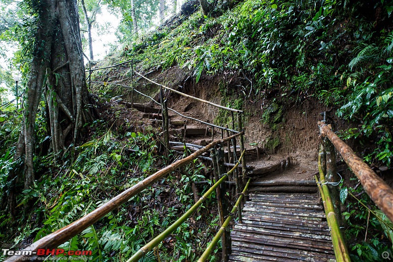 To Munnar in a Ford Endeavour!-zcx_1887.jpg