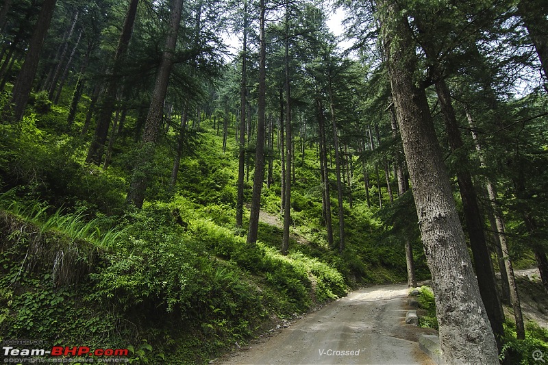 V-Crossed - The introductory summer escapade to Himachal-6.jpg