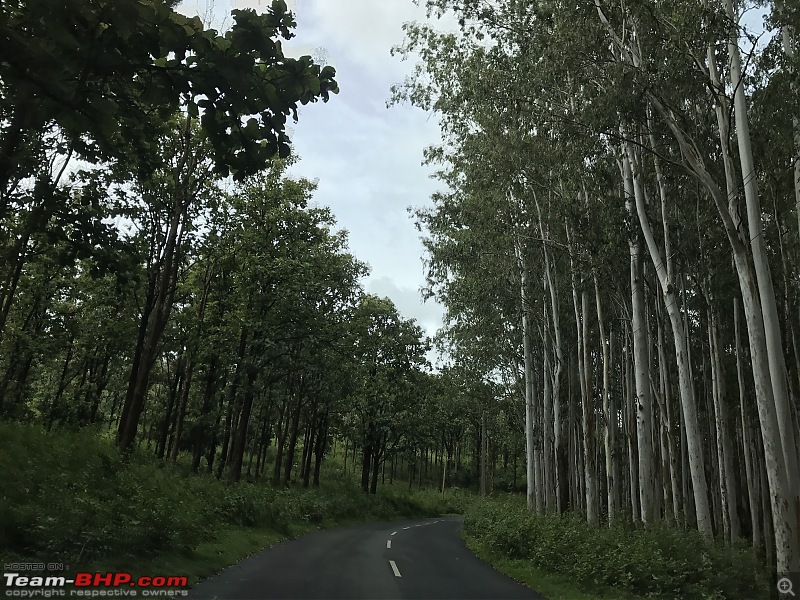 Drive to Coorg - A monsoon getaway with the family-onwaythiru2.jpg