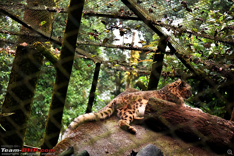 A short trip to Darjeeling immediately after the 104 day Bandh in our Thar-dsc_0713_1.jpg