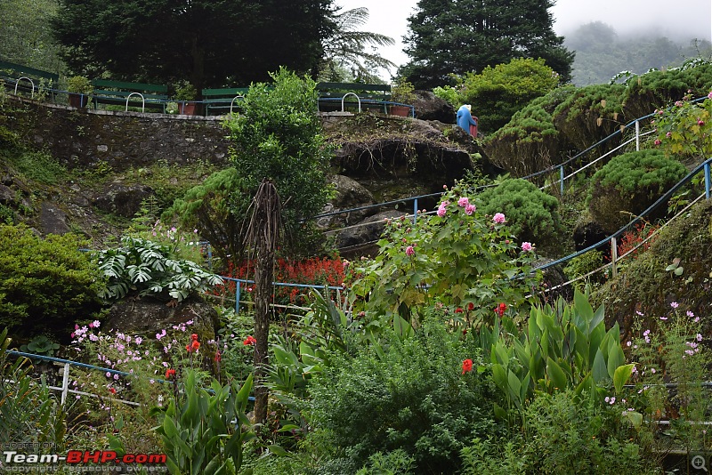 A short trip to Darjeeling immediately after the 104 day Bandh in our Thar-dsc_0789.jpg