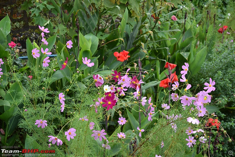 A short trip to Darjeeling immediately after the 104 day Bandh in our Thar-dsc_0803.jpg