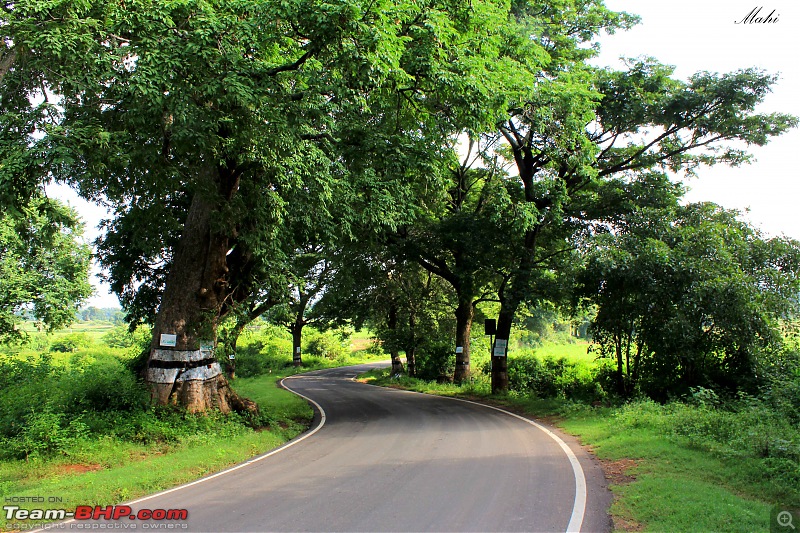 Metray aka Meter Falls from Bangalore - On my Activa-a2.jpg