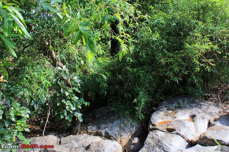 Metray aka Meter Falls from Bangalore - On my Activa-a17.jpg