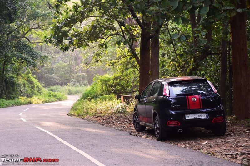 A day with the Great Hornbills of Nelliyampathy-dsc_00441600x1067.jpg