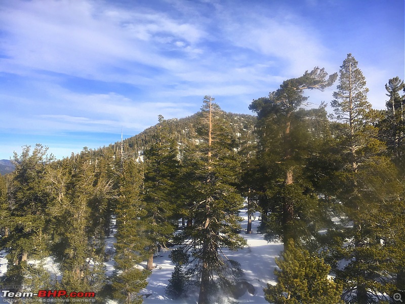 A Drive to South Lake Tahoe-pic9from-cable-car.jpg