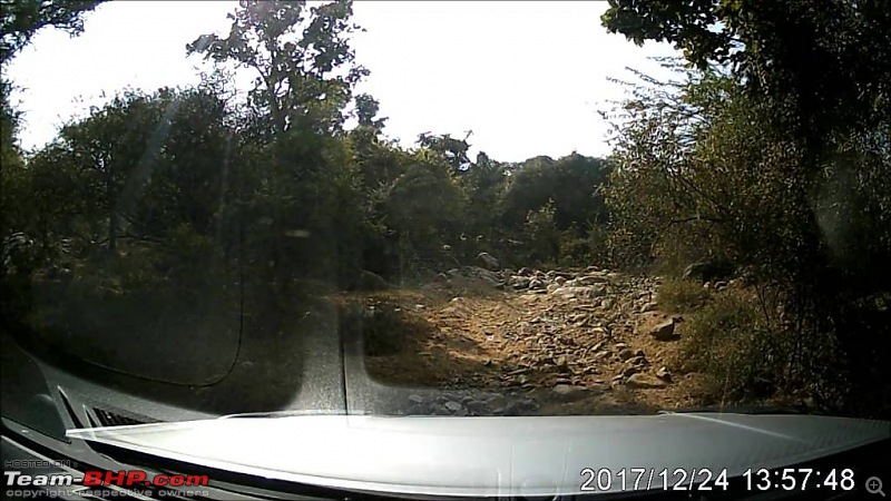 An undeclared Jungle in Delhi-NCR-1517402608490.jpg